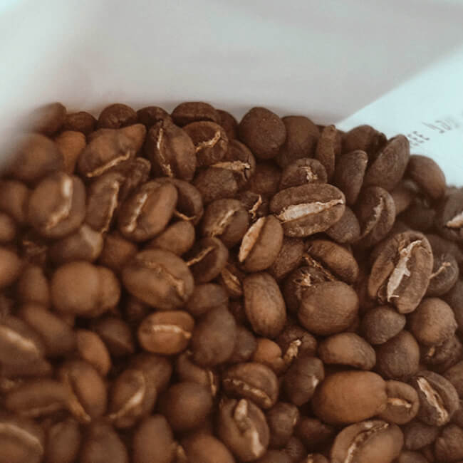 Grano de Café de especialidad