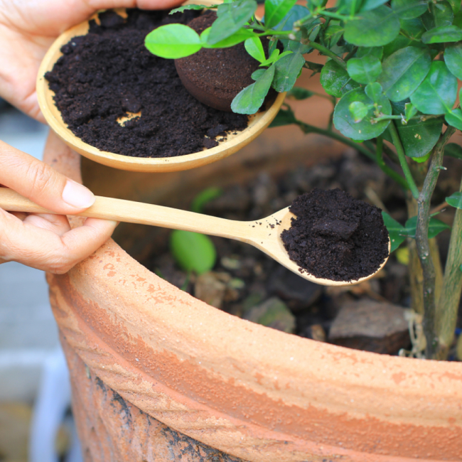 Compostaje/Reciclaje del Café