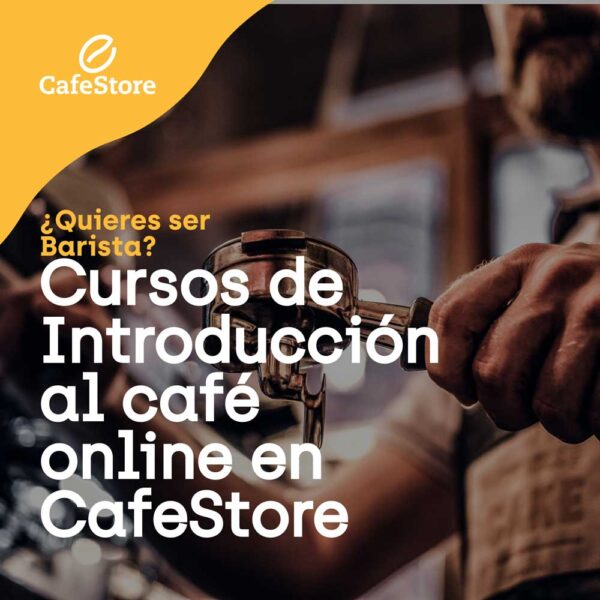 Curso de Introducción al café (online)